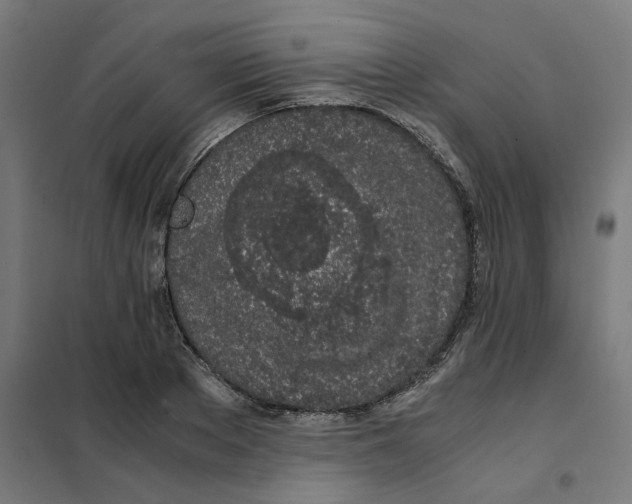 X0000101680889200808071106
