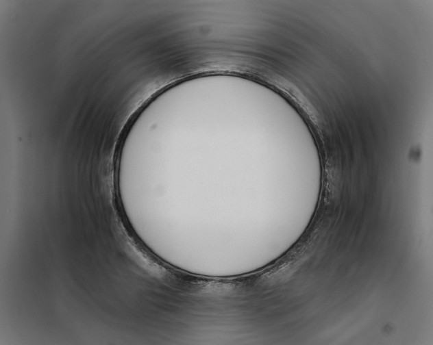 X0000101680890200808071106