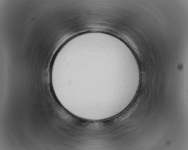 X0000101680891200808071106
