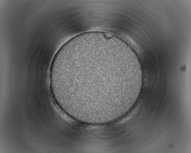 X0000101680892200808071106