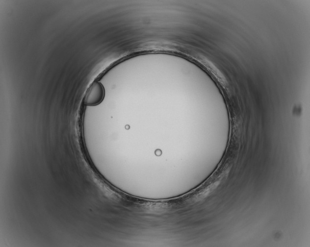 X0000101680893200808071106