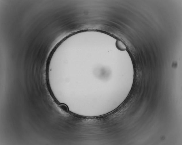 X0000101680894200808071106