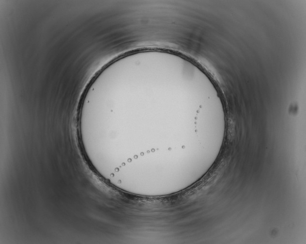 X0000101680895200808071106