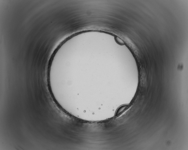 X0000101680896200808071106