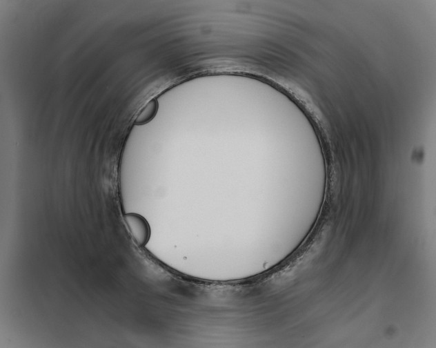 X0000101680897200808071106