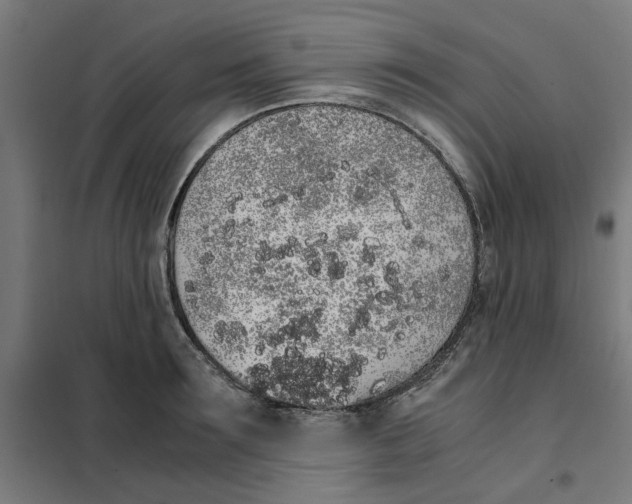 X0000101680899200808071106