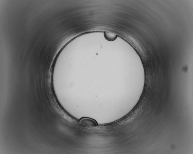 X0000101680900200808071106