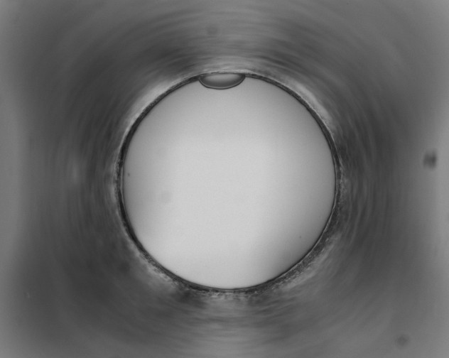 X0000101680901200808071106