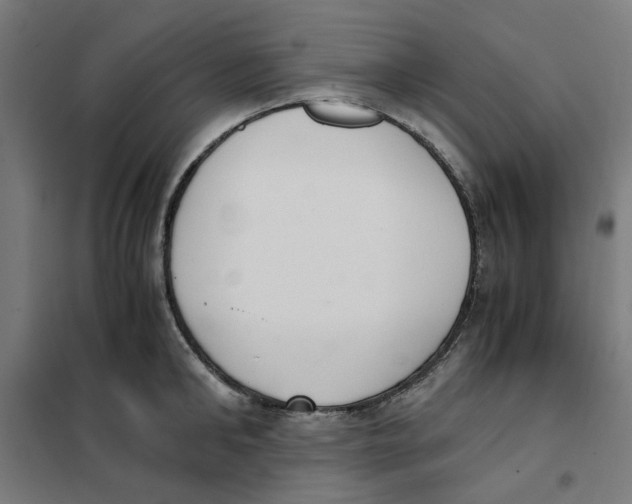 X0000101680902200808071106