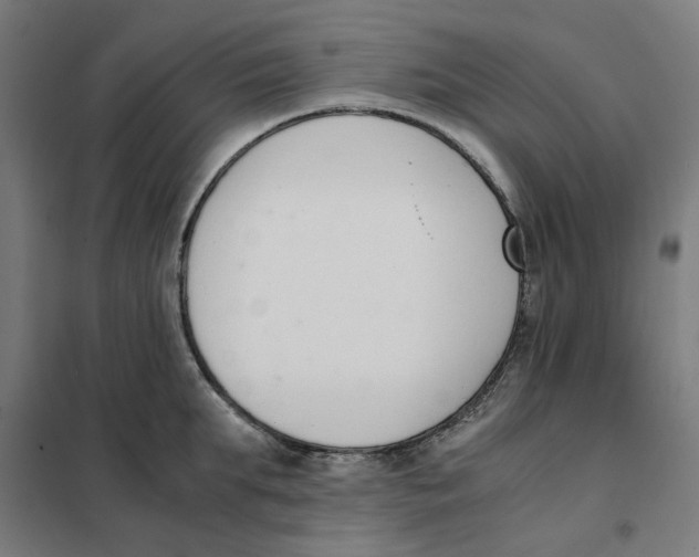 X0000101680903200808071106
