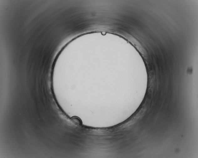 X0000101680904200808071106