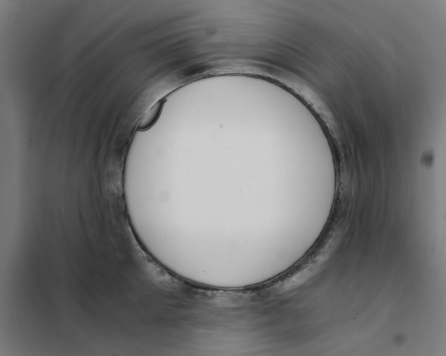 X0000101680905200808071106