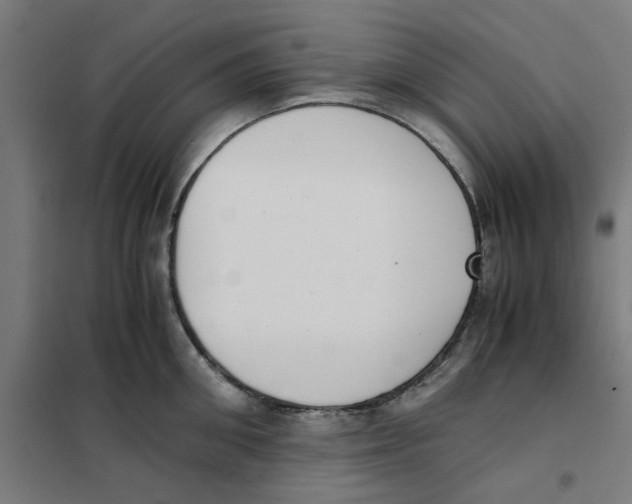 X0000101680906200808071106