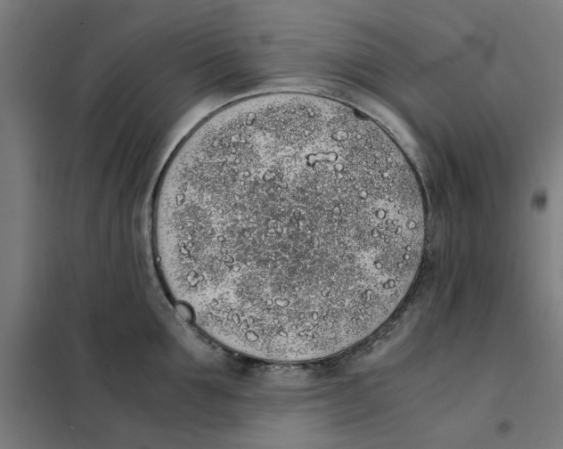 X0000101680907200808071106