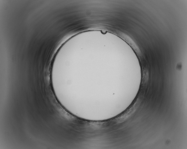 X0000101680908200808071106