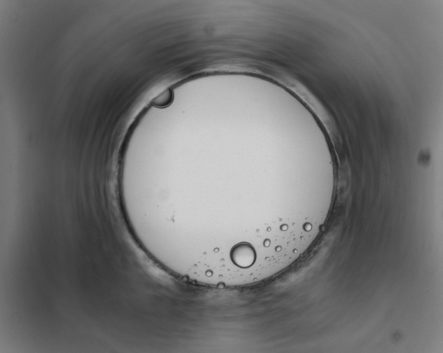 X0000101680909200808071106