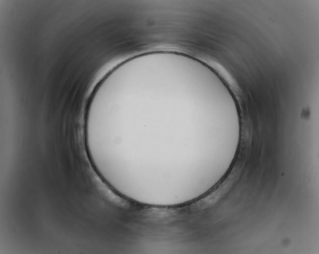 X0000101680910200808071106