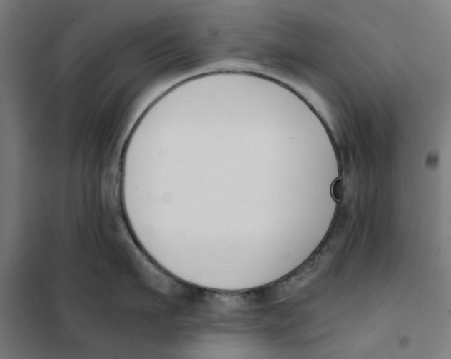 X0000101680911200808071106