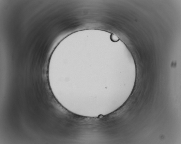 X0000101680912200808071106