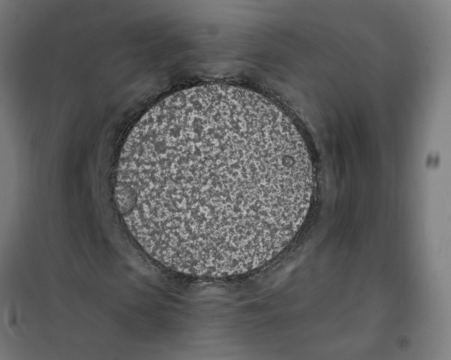 X0000101680913200808071105