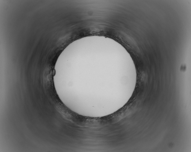 X0000101680914200808071105