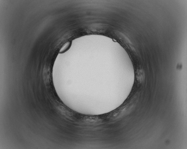 X0000101680915200808071105