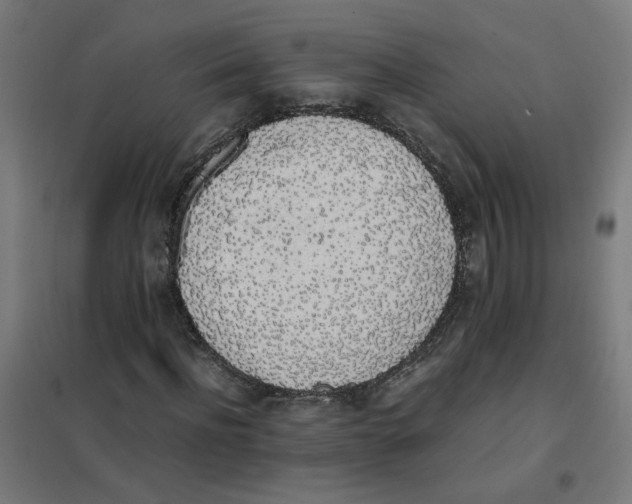 X0000101680916200808071105