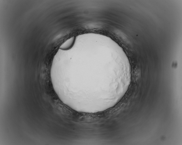 X0000101680917200808071105