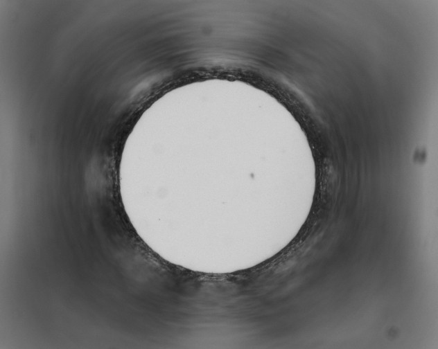 X0000101680918200808071105