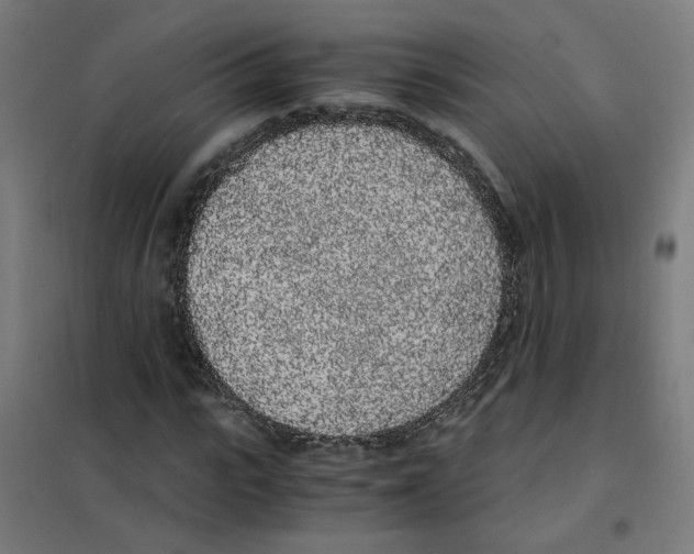 X0000101680919200808071105