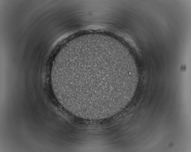 X0000101680920200808071105