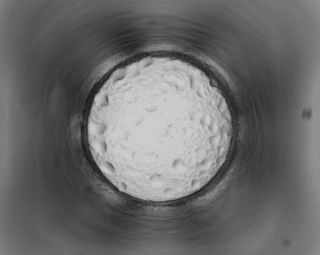 X0000101680921200808071105