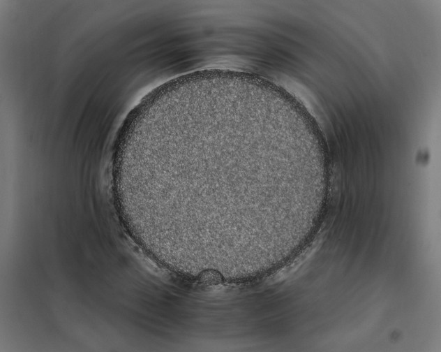 X0000101680923200808071105