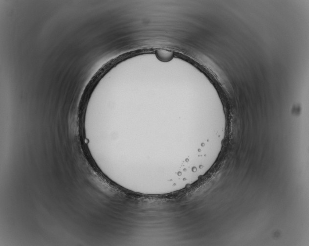 X0000101680924200808071105