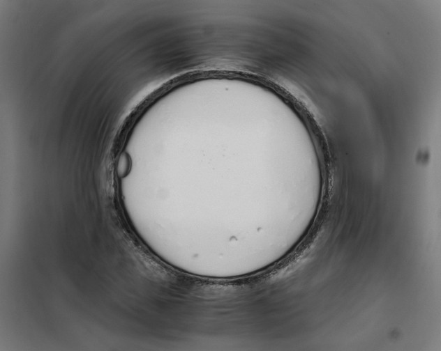 X0000101680925200808071105