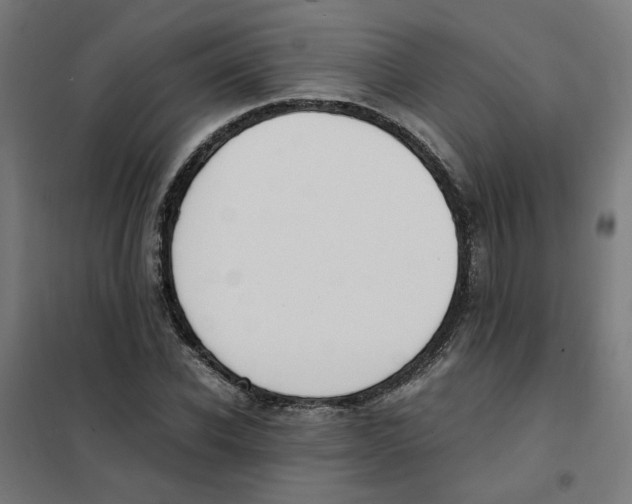X0000101680926200808071105