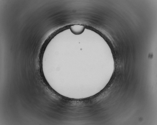 X0000101680927200808071105