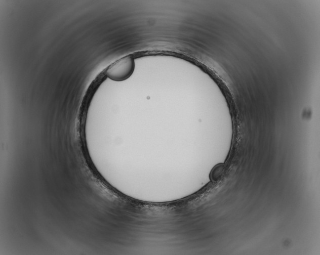 X0000101680928200808071105