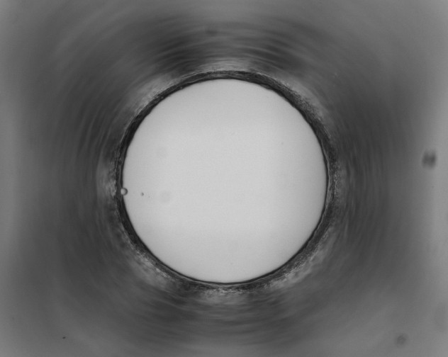 X0000101680929200808071105