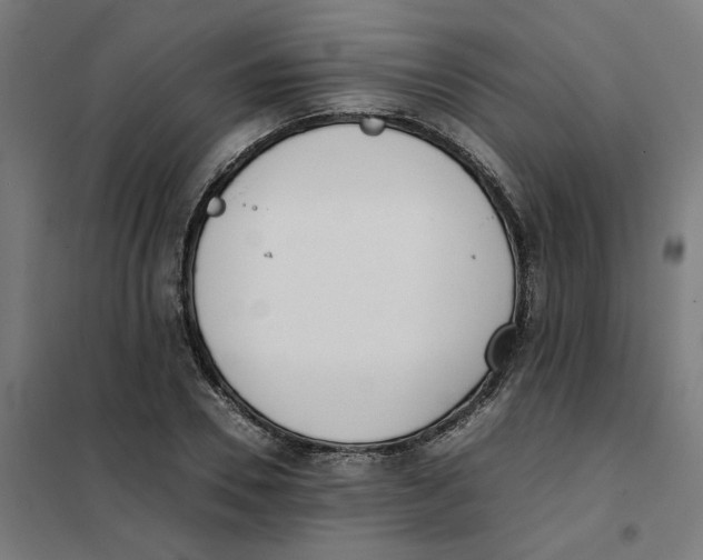 X0000101680930200808071105