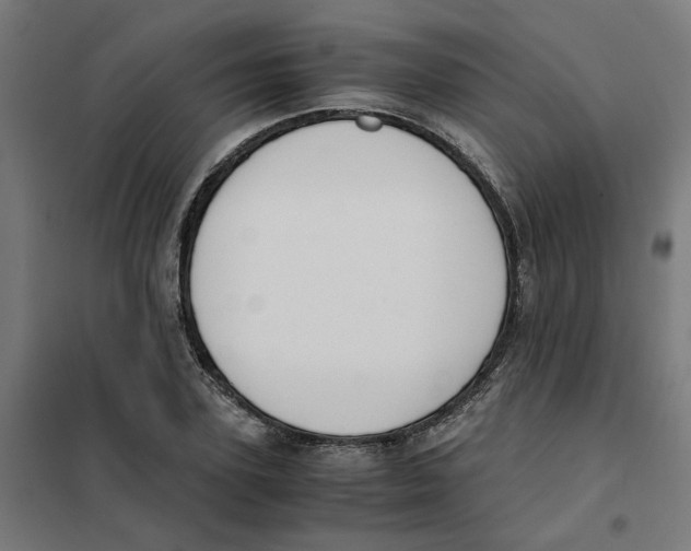 X0000101680931200808071106