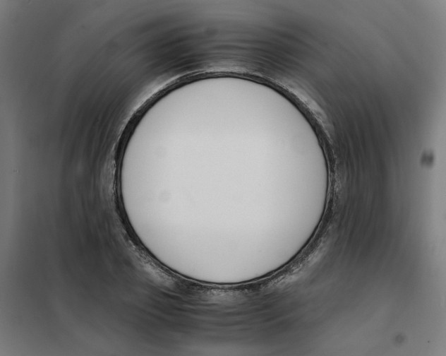 X0000101680933200808071106