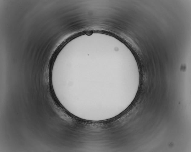 X0000101680934200808071106