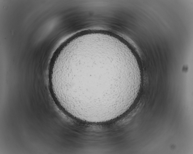 X0000101680935200808071106
