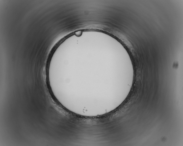 X0000101680936200808071106