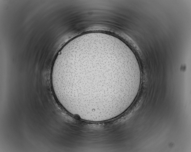X0000101680937200808071106