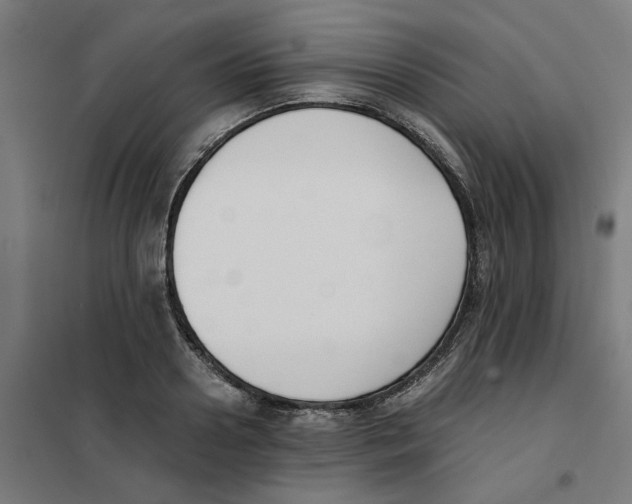 X0000101680938200808071106