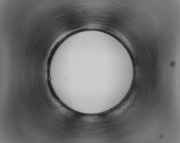 X0000101680939200808071106