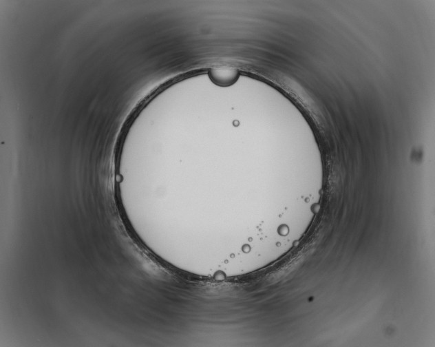 X0000101680940200808071106
