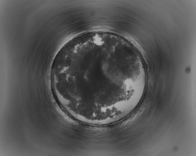 X0000101680941200808071106